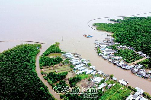 Mong manh bờ Ðông