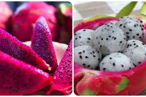 Loại quả rẻ tiền, dễ tìm ở Việt Nam, giúp ngăn ngừa ung thư và kéo dài tuổi thọ