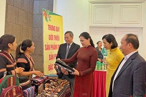 Thực hiện chính sách đối với các nhóm phụ nữ đặc thù khu vực miền Trung và Tây Nguyên