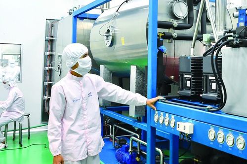 Trao giải thưởng Doanh nghiệp xanh TPHCM năm 2023: Nền tảng phát triển bền vững