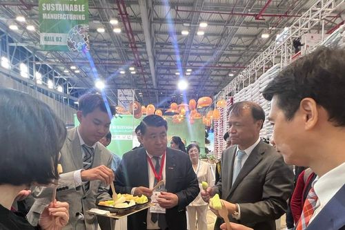 TPHCM: Hoạt động sản xuất kinh doanh có nhiều khởi sắc