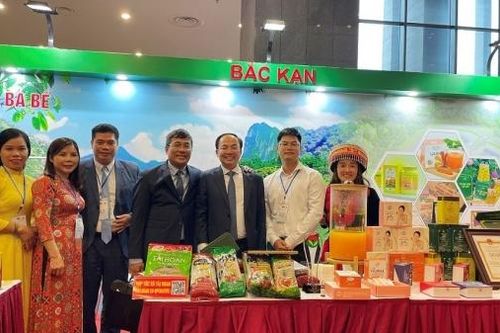 Bắc Kạn đẩy mạnh hợp tác với doanh nghiệp Saudi Arabia trên nhiều lĩnh vực