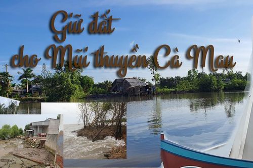 Giữ đất cho 'Mũi thuyền' Cà Mau - Bài 1: Thực tế đáng báo động