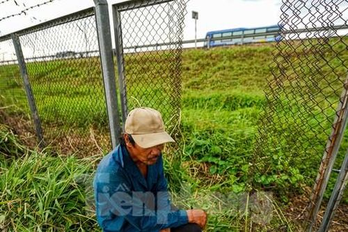 Hiện trạng bị cắt phá tan hoang ở hàng rào an toàn cao tốc TPHCM-Trung Lương