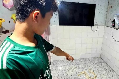 Phê chuẩn khởi tố đối tượng 'Giết vợ' vì ghen tuông