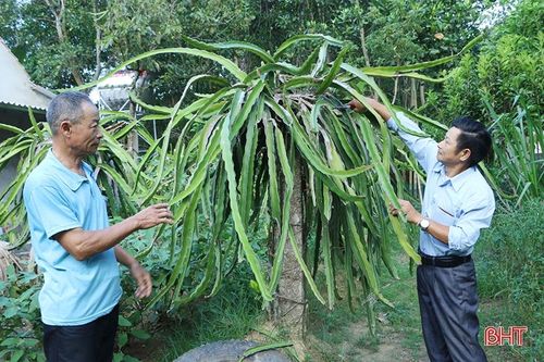 Những tấm gương 'tuổi cao chí khí càng cao' ở Vũ Quang