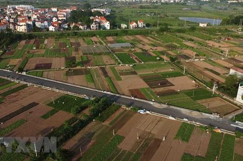 Thành phố Hà Nội quy hoạch các vùng, khu chuyên canh nông nghiệp