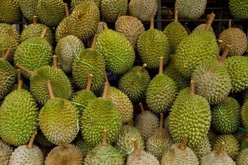 'Cơn sốt' sầu riêng tại Trung Quốc thúc đẩy nhu cầu thế giới tăng 400%