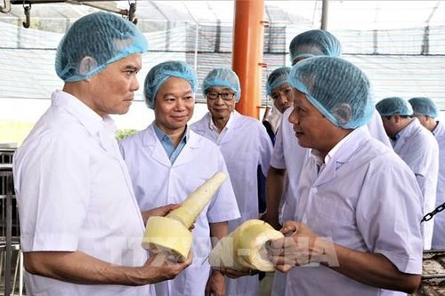 Cần giải pháp tăng tốc thực hiện các chương trình mục tiêu quốc gia
