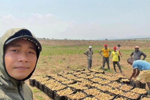 Team Quang Linh thu hoạch khoai tây bán 'cháy hàng', bất ngờ số tiền nhận về
