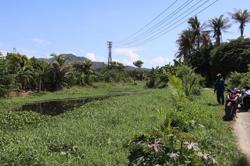 Xã Vĩnh Phương (TP. Nha Trang): Bầu Dinh An tiếp tục ứ đọng, ô nhiễm