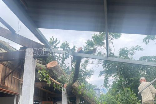 Văn Bàn: Mưa dông làm 1 người chết và thiệt hại nhiều tài sản
