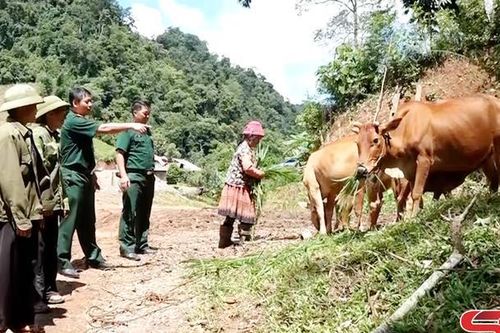 Giúp nhân dân giảm nghèo, nâng cao thu nhập