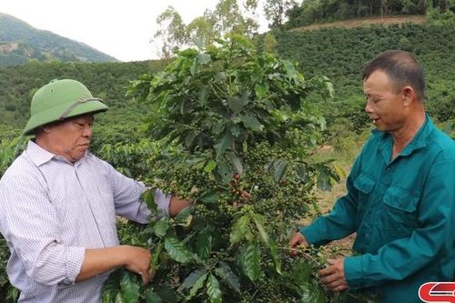 Duy trì các mô hình kinh tế phù hợp, hiệu quả