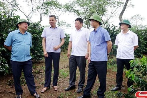 Khảo sát địa điểm tổ chức các hoạt động Lễ hội Cà phê Sơn La lần thứ nhất, năm 2023