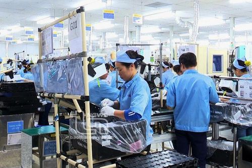 Chuyên nghiệp hóa dịch vụ cho thuê lại lao động
