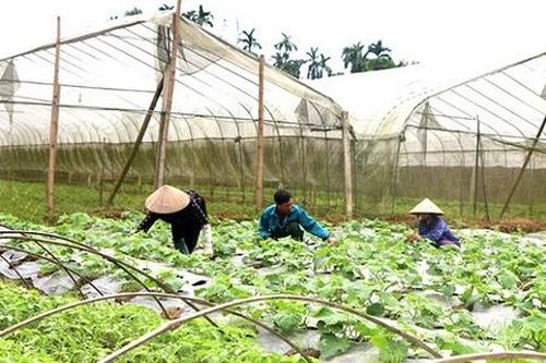 Đảm bảo tiêu chí môi trường bền vững trong xây dựng nông thôn mới