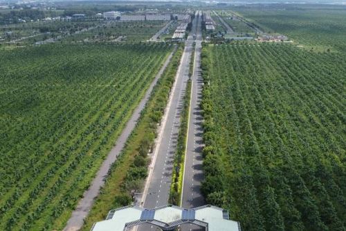 Chủ đầu tư dự án Gem Sky World bị kiến nghị xử phạt 900 triệu đồng