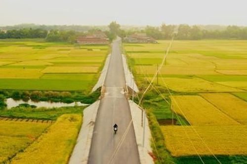 Cảnh sắc Việt tươi đẹp trong 'Giao lộ 8675'