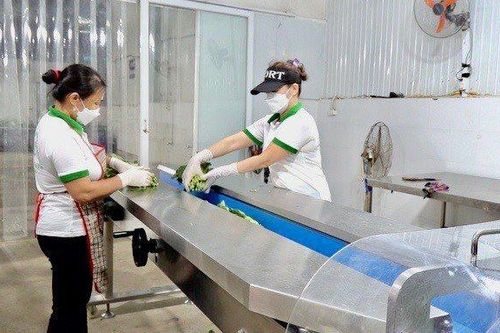 Động lực mới thúc đẩy hợp tác xã phát triển