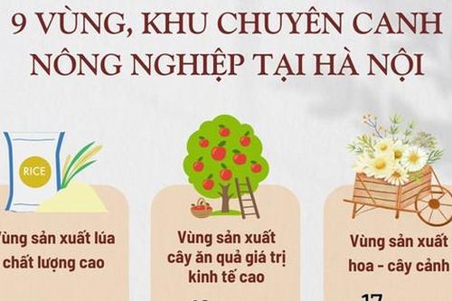 9 vùng sản xuất nông nghiệp chuyên canh tập trung tại Hà Nội