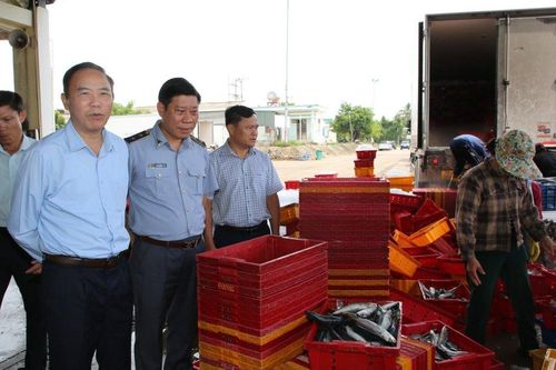 Thứ trưởng Phùng Đức Tiến kiểm tra chống khai thác IUU tại Quảng Ngãi