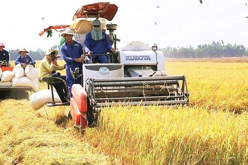 Nâng cao giá trị sản phẩm nông nghiệp Đắk Nông