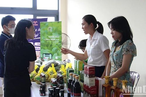 Giúp người trẻ sẵn sàng khởi nghiệp với nông nghiệp thông minh