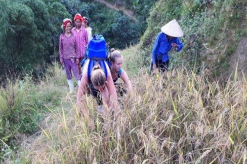 Nhiều khó khăn, thách thức trong phát triển du lịch nông nghiệp nông thôn