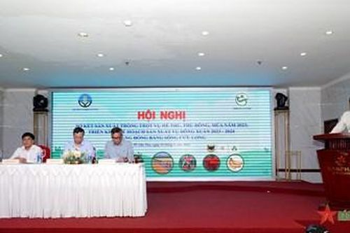 Lúa Đông Xuân 2023-2024 nguy cơ thiếu nước ngọt và ảnh hưởng của xâm nhập mặn