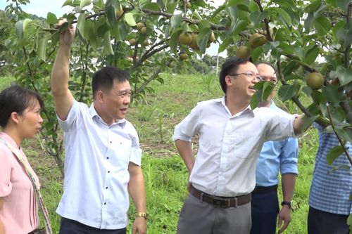 Hiệu quả từ nguồn chính sách hỗ trợ phát triển sản xuất ở huyện Điện Biên Đông