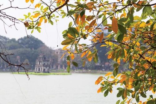 Mùa thu và tình yêu đôi lứa