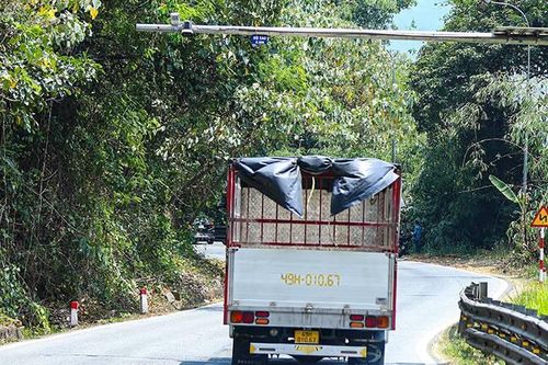 Lắp thêm 'mắt thần' trên Quốc lộ 20 để giám sát giao thông