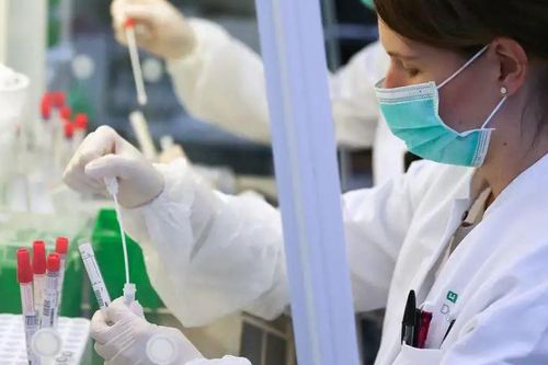 Đức lần đầu phát hiện biến thể BA.2.86 của virus SARS-CoV-2