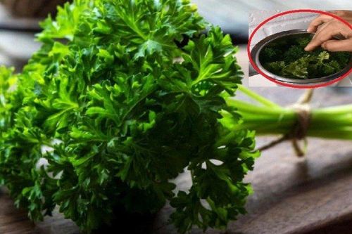Loại rau được ví như 'loại thuốc của thiên nhiên', mọc đầy vườn nhưng ít người để ý