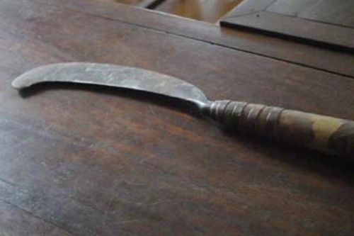 Thừa Thiên-Huế: Nghịch tử dùng rựa sát hại mẹ ruột lãnh án