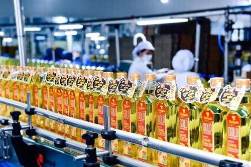 Kido chuẩn bị nhận 'quà' 320 tỷ đồng từ cổ tức công ty con
