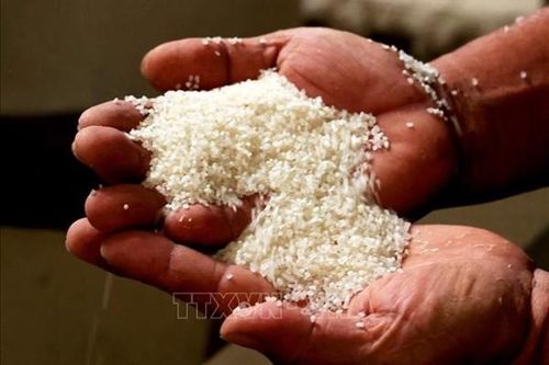 Indonesia đặt mục tiêu sản xuất hơn 55 triệu tấn gạo vào năm 2024