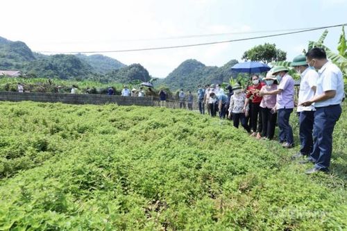 Xây dựng nông thôn mới giai đoạn 2021-2025: Những con số 'biết nói'