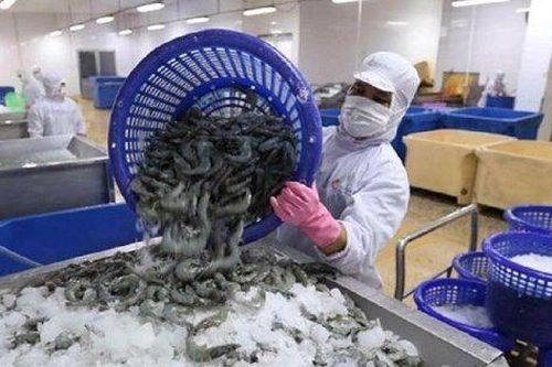 2 lần xuất khẩu tôm lập đỉnh và vai trò thị trường Mỹ trong 1 thập kỷ