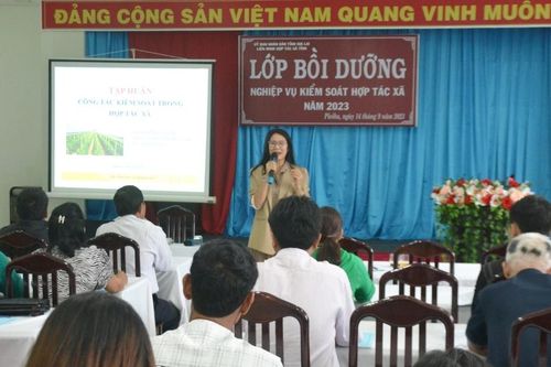 Bồi dưỡng nghiệp vụ kiểm soát hợp tác xã