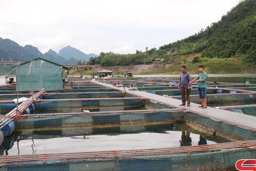 Nhịp sống mới bên cầu Pá Uôn