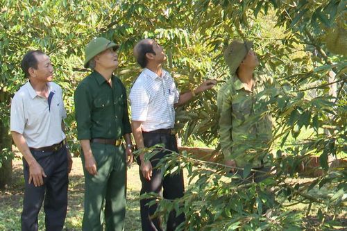 Đăk Tô phát huy nội lực, tạo bước đột phá phát triển nhanh và bền vững