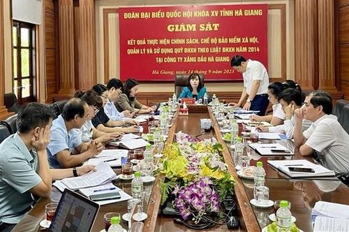 Hà Giang: Đoàn ĐBQH tỉnh giám sát thực hiện chính sách, chế độ BHXH tại Công ty xăng dầu Hà Giang