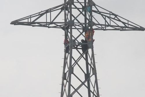 Ngồi vắt vẻo trên ngọn trụ điện cao thế... hóng gió
