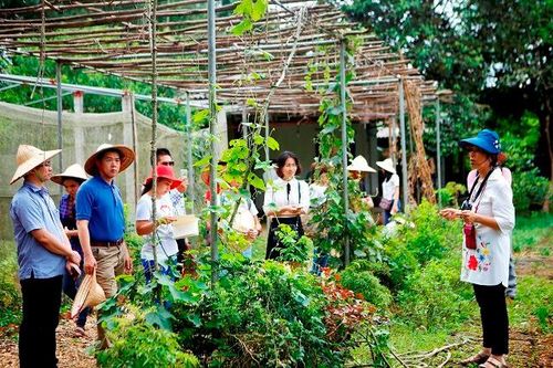 Phát triển nông nghiệp gắn với du lịch nông thôn