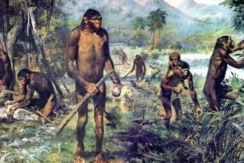 Xưởng chế tạo công cụ 1,2 triệu năm tuổi