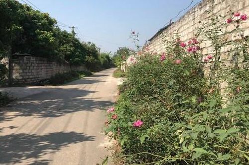 Bắc Giang phấn đấu có thêm 6 xã đạt chuẩn nông thôn mới