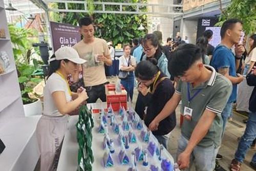 Xây dựng hệ sinh thái 'from farm to cup' nâng cao giá trị cà phê Gia Lai