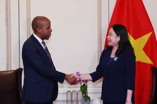 Hoạt động của Phó chủ tịch nước Võ Thị Ánh Xuân tại Nam Phi
